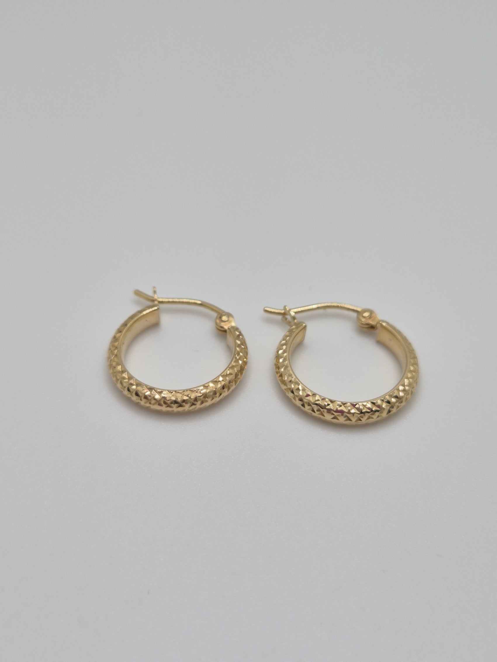 14K Gold Diamond Cut Hoop Earrings (038)