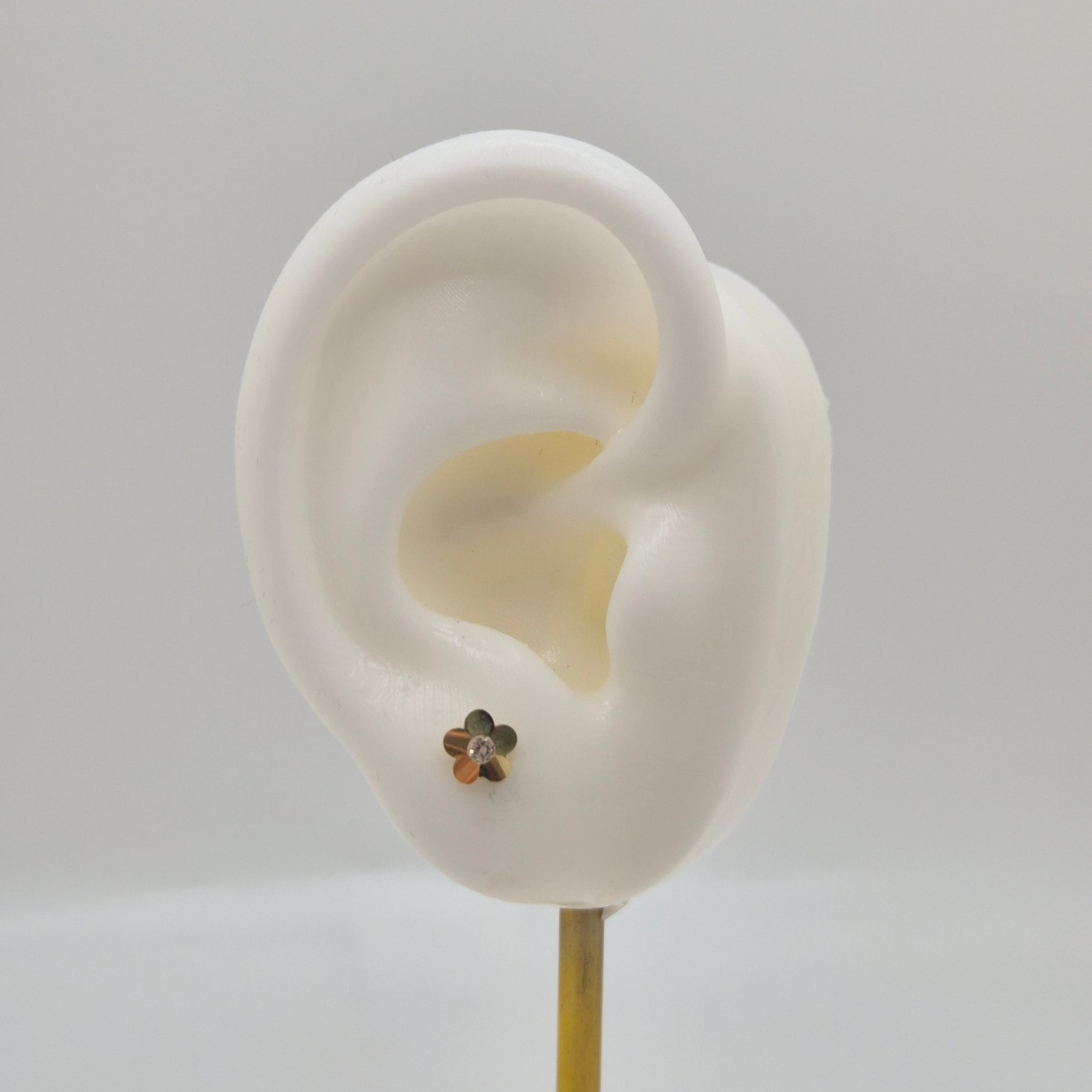 14K Yellow Gold Flower CZ Stud Earrings (Screw Back)