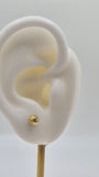 14K Gold 3.8mm Fluted Half Ball Stud Earrings (Screw Back)