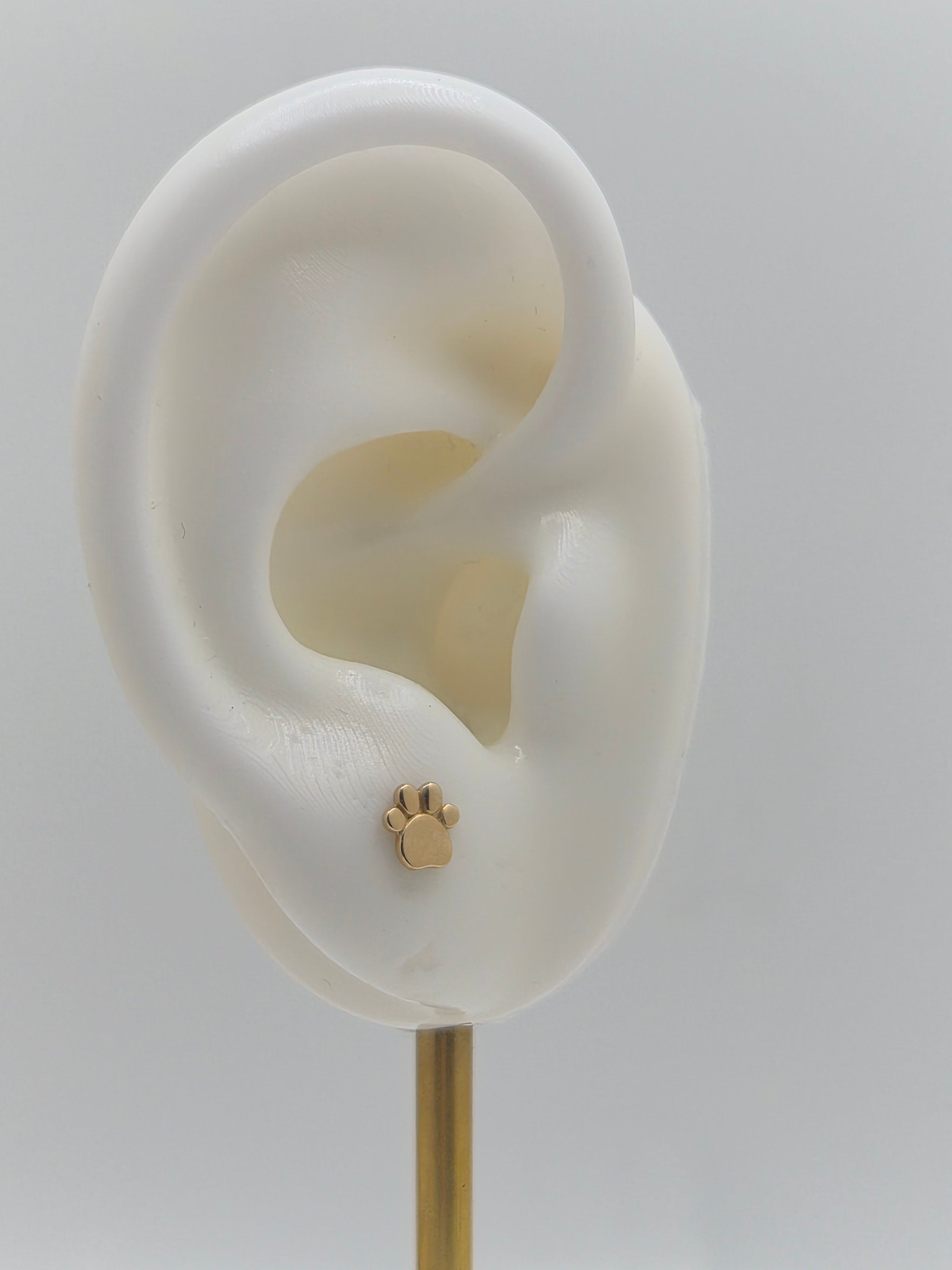 14K Gold Paw Stud Earrings (Screw Back)