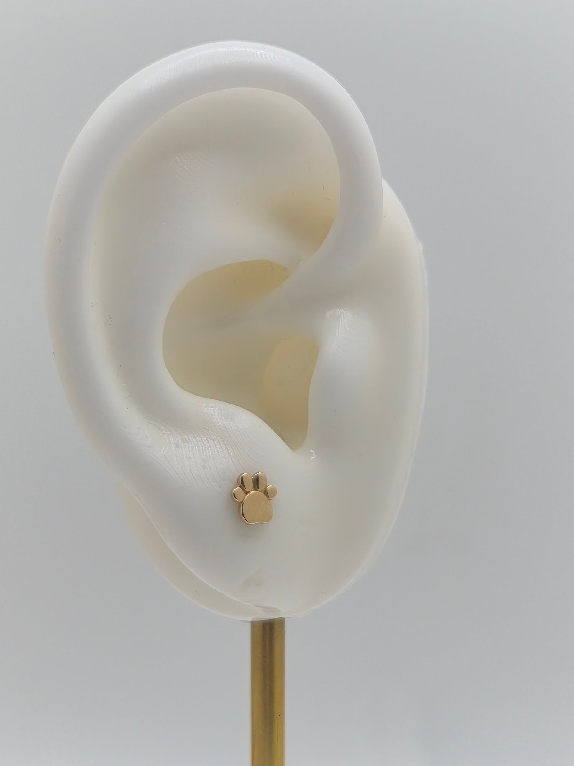 14K Gold Paw Stud Earrings (Screw Back)