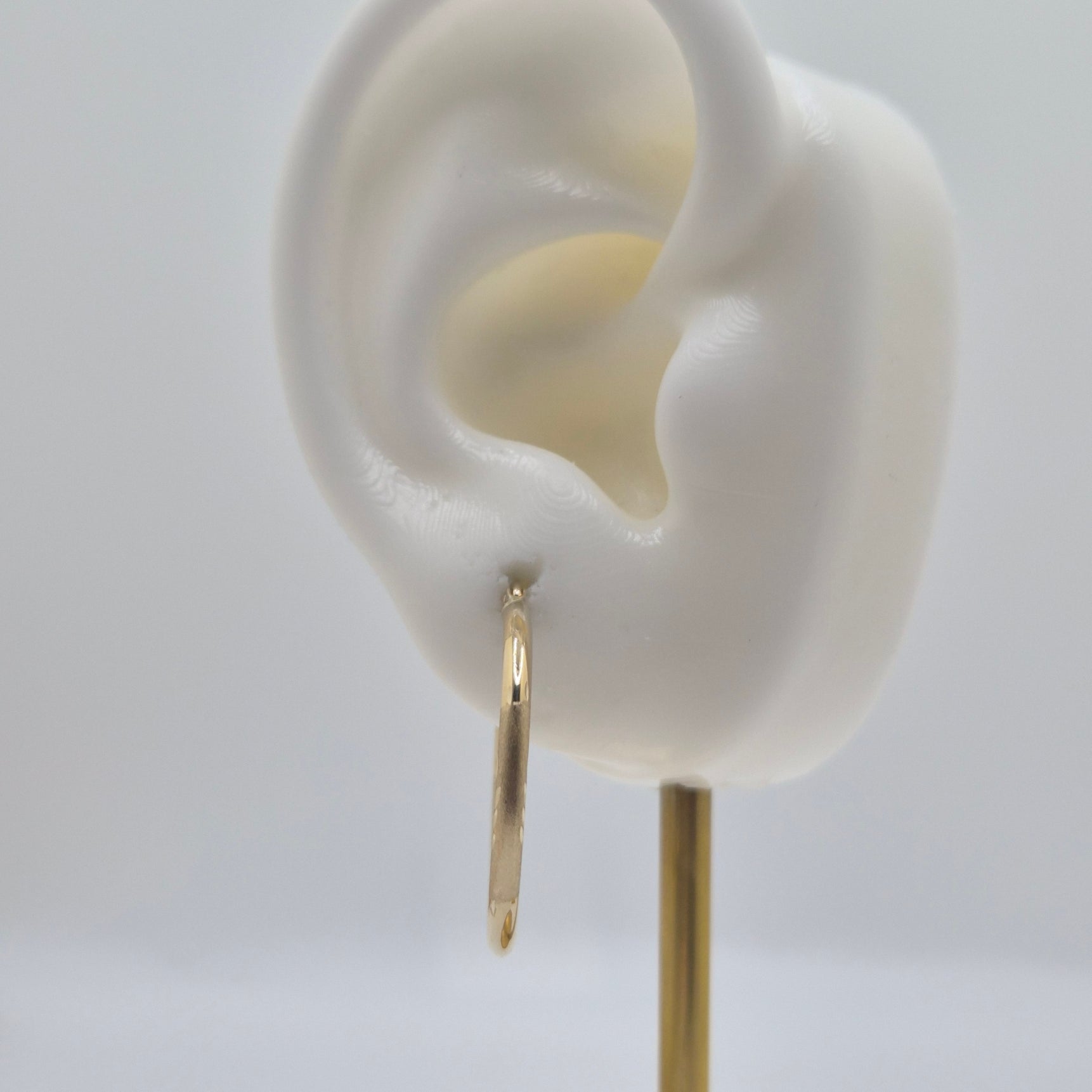 Golden Swirl Hoops (25mm) 14K Gold