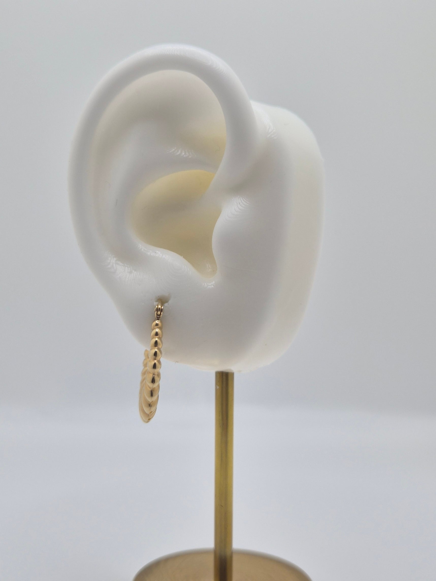 14K Gold Golden Shrimp Hoops (050)