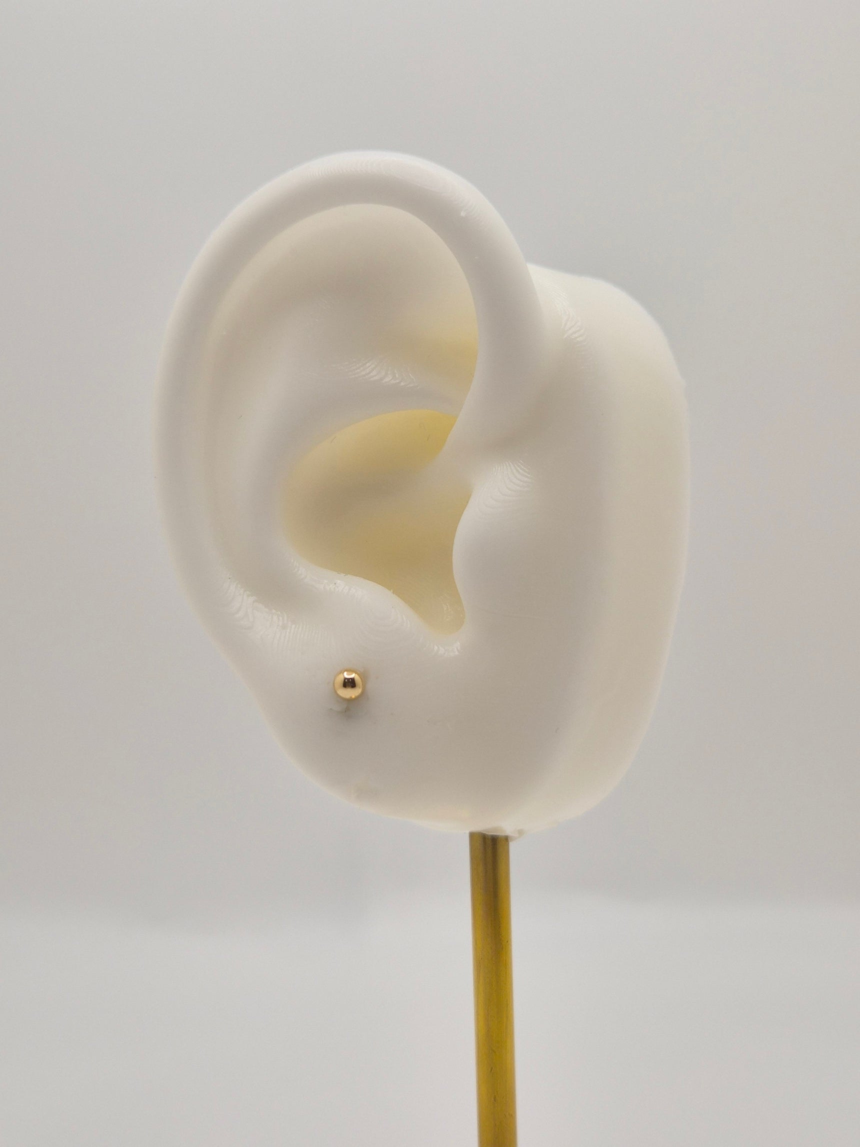 14K Gold 3mm Ball Stud Earrings (Screw Back)