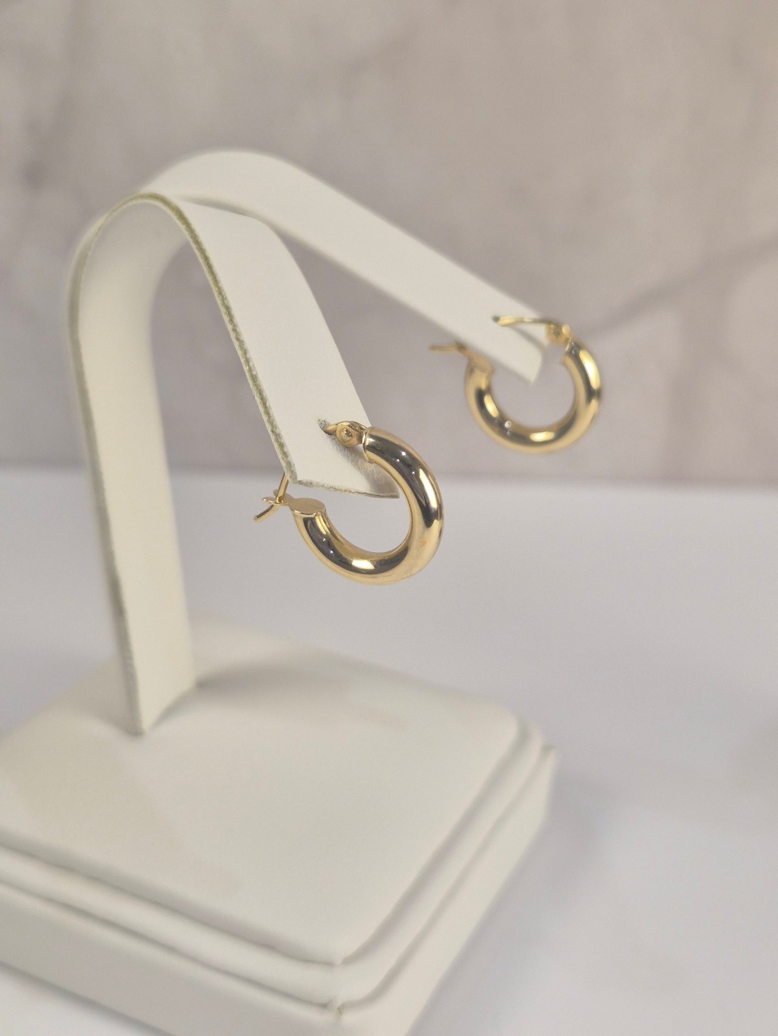 14K Gold Mini Everyday Goldies Hoop Earrings (039)