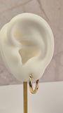 14K Gold Golden Essentials Hoops (049)
