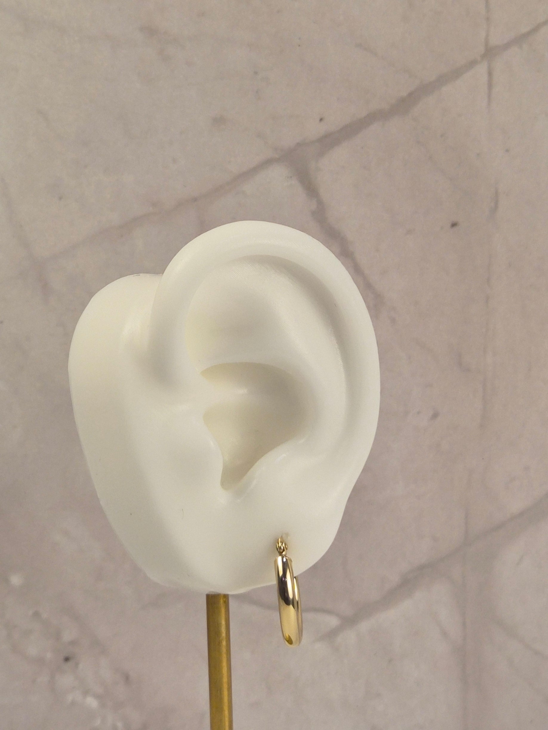 14K Gold Golden Essentials Hoops (049)