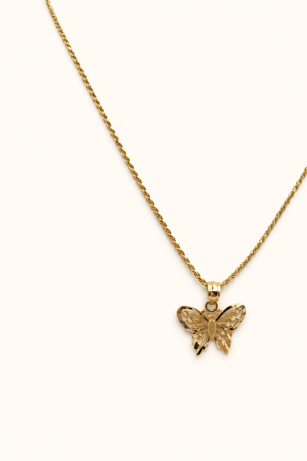 Golden Butterfly + Solid Rope Chain – 14K Gold Necklace Set