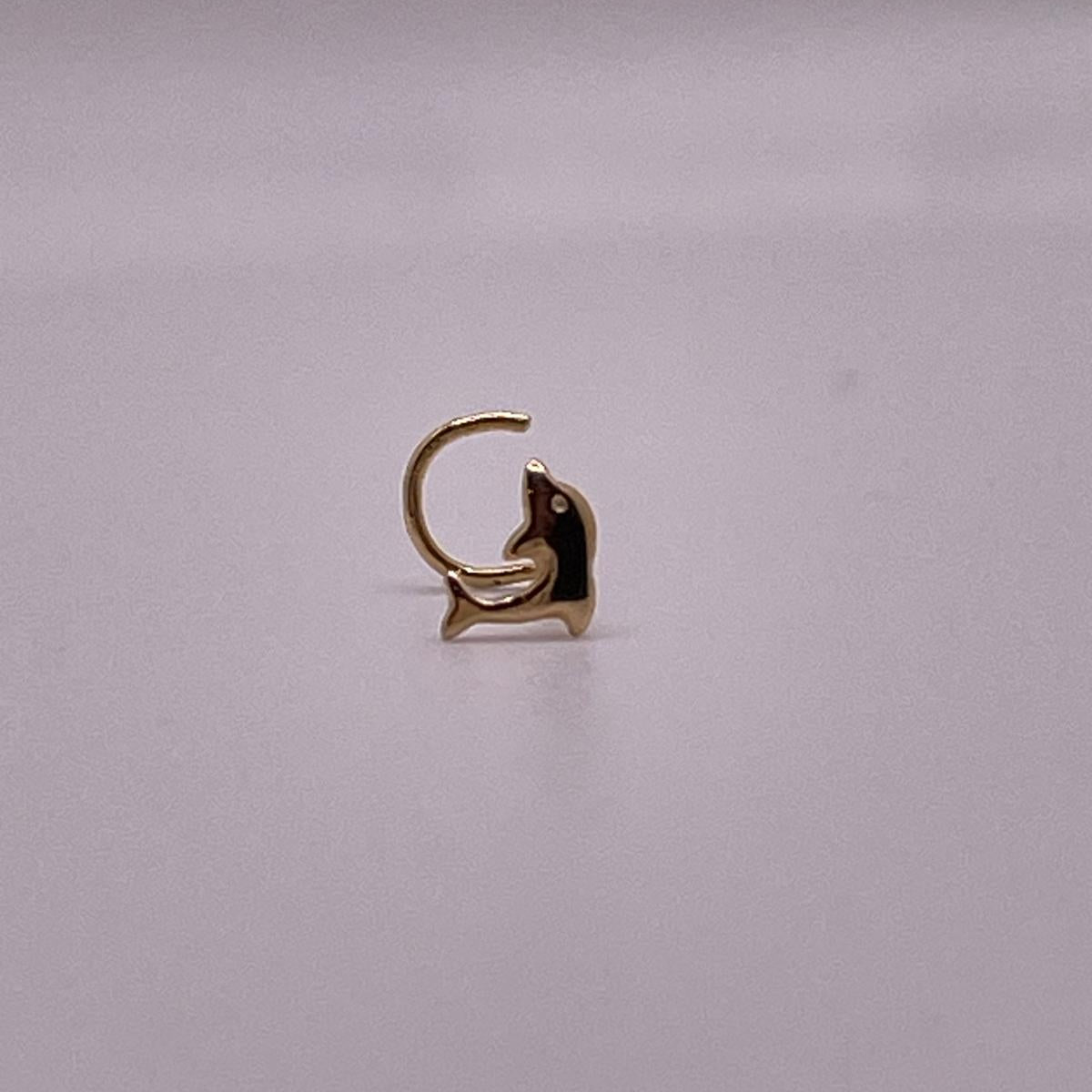 14K Gold Dolphin Nose Screw