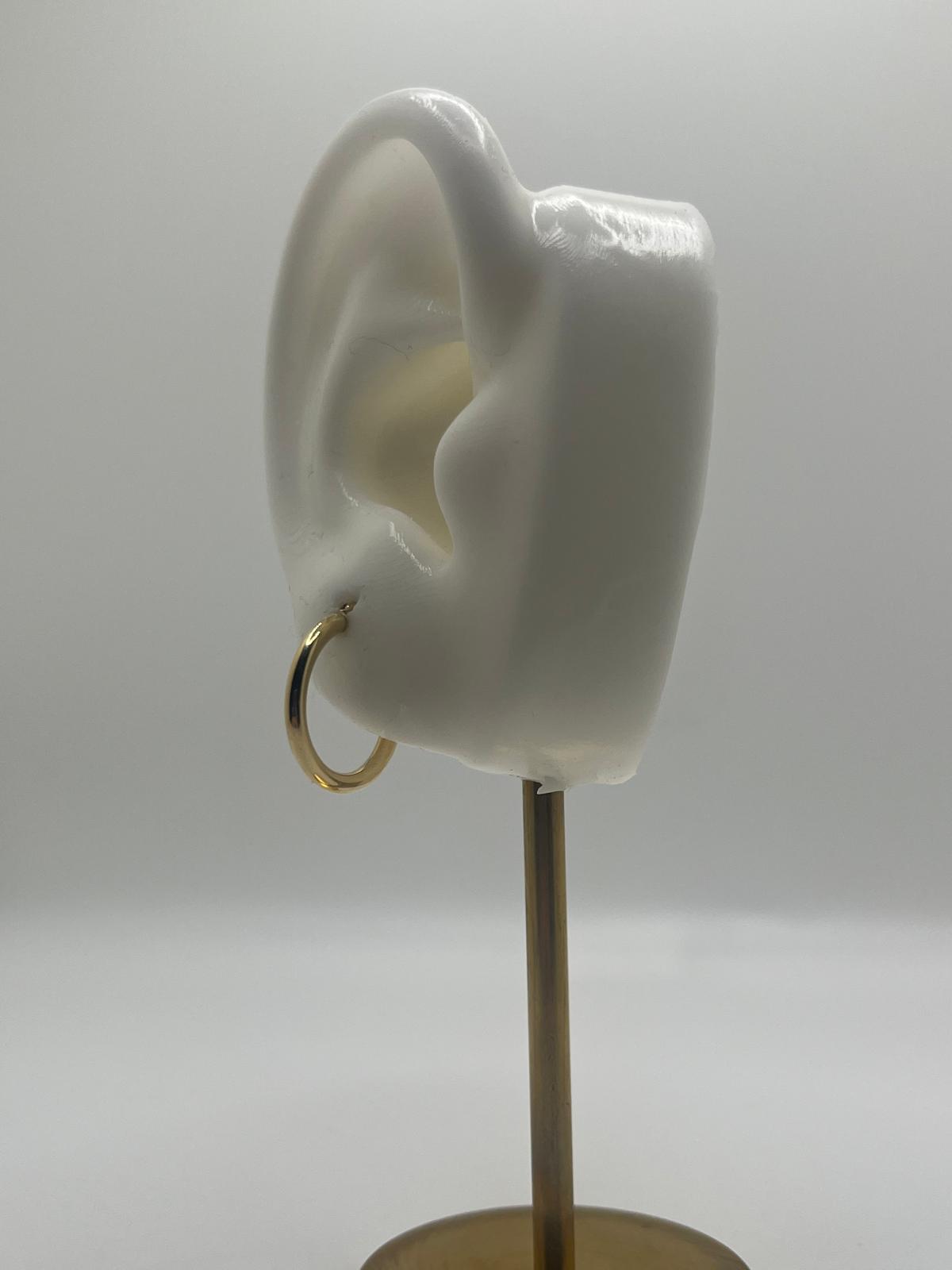 14K Gold Golden Mini Hoops