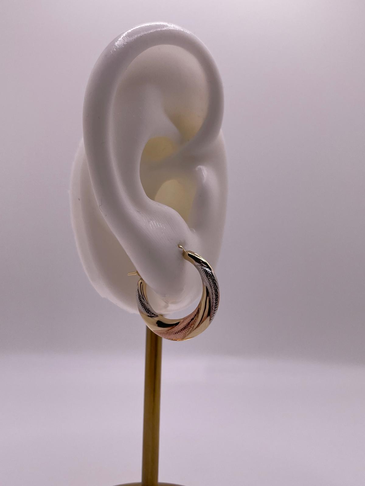 14K Tri-Color Hollow Hoop Earrings (016)